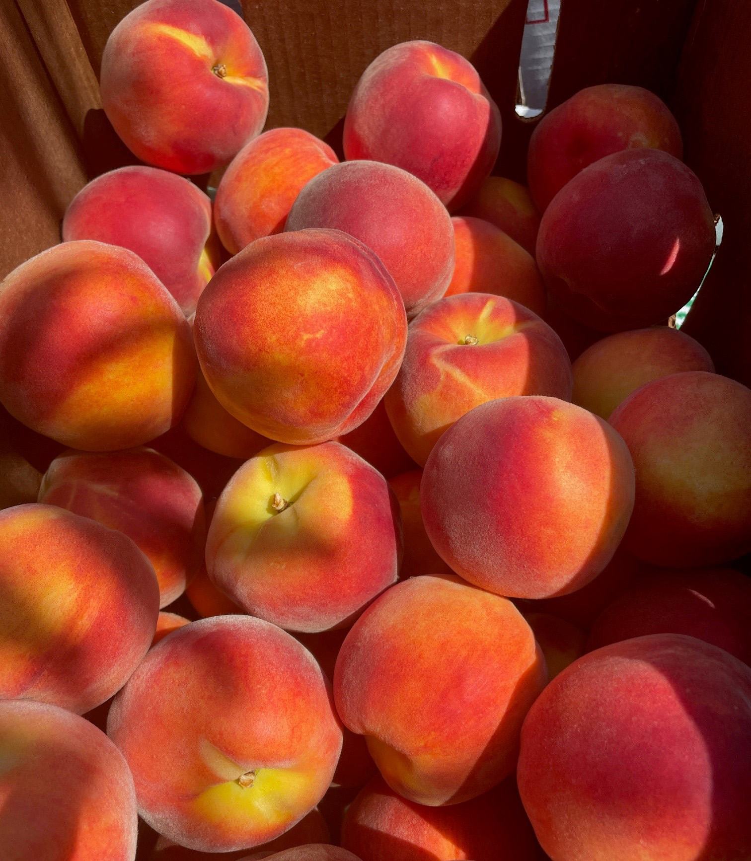 Peaches freshly harvested sitting in a box.